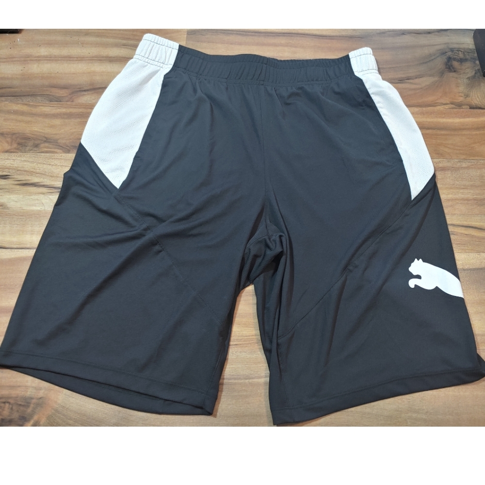 Puma Shorts Dry Cell Men's BRAND NEW